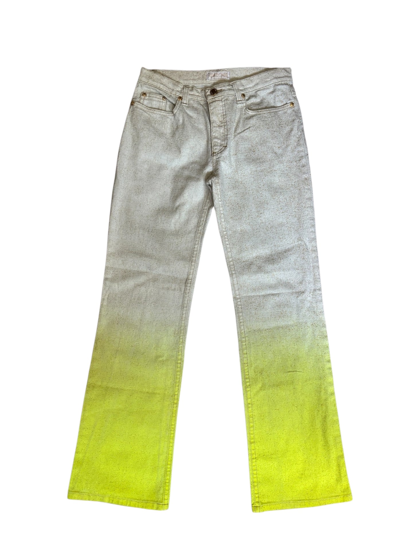 Ombré Roberto Cavalli Pants