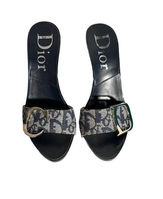 Christian Dior Oblique Heels