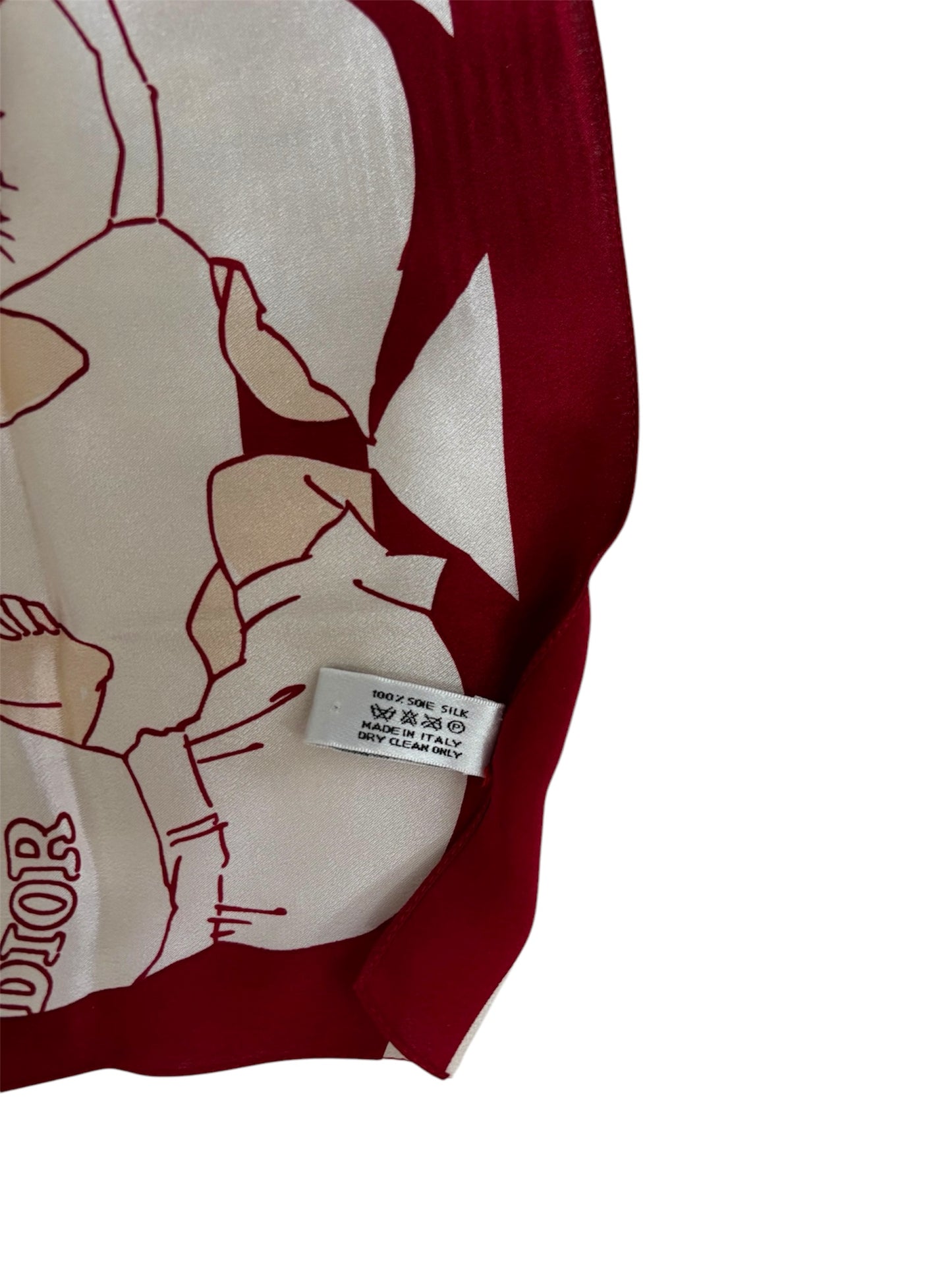 Dior Silk Scarf