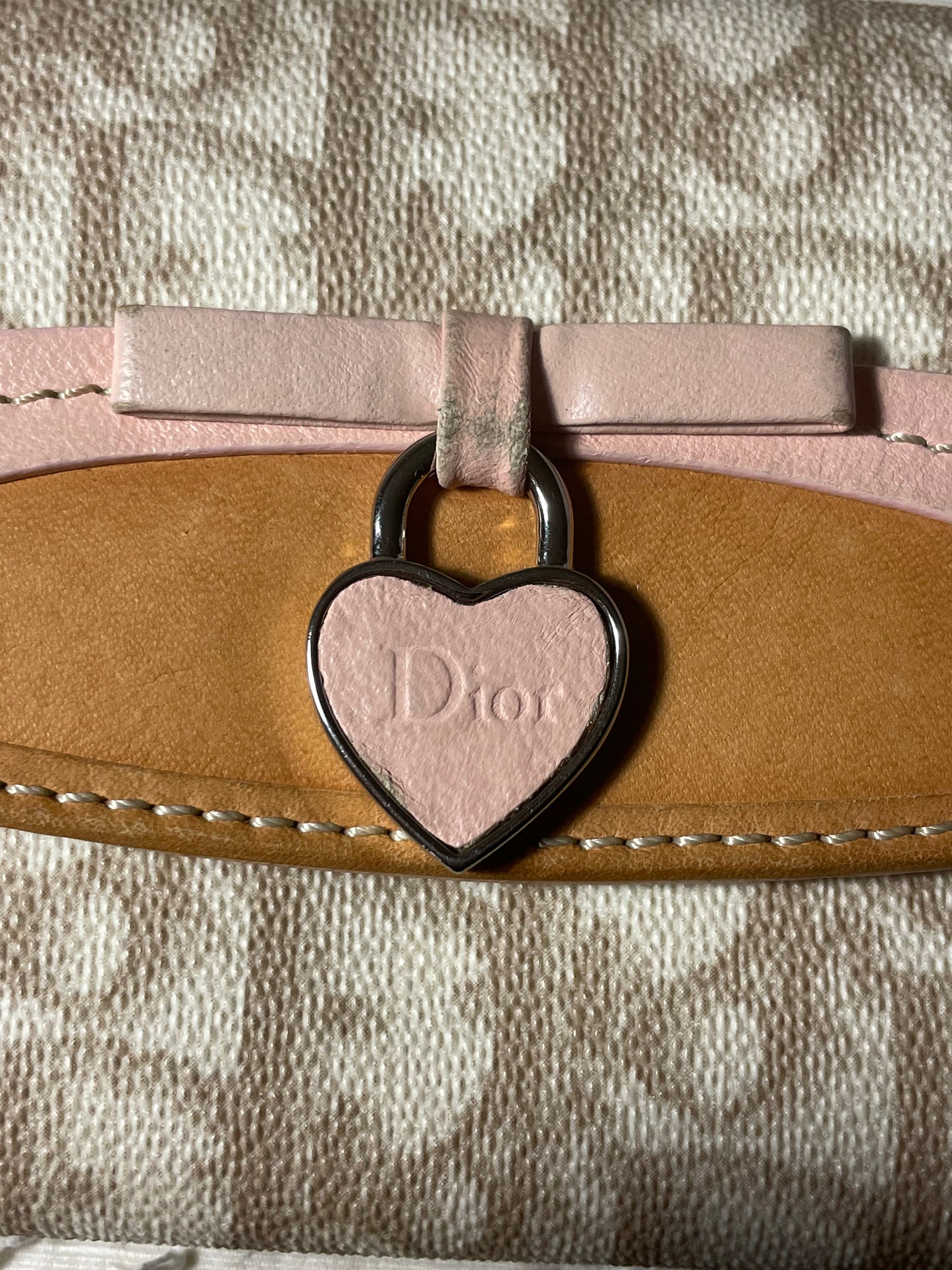 Dior Romantique Wallet on Chain