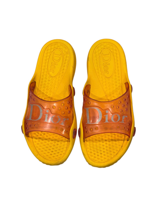 Dior Jelly Pool Slides